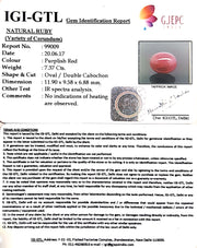 8.19 Ratti Natural Neo Burma Ruby with Govt Lab Certificate-(12210)